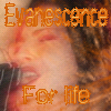 evanescence for life