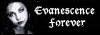 evanesence forever site button