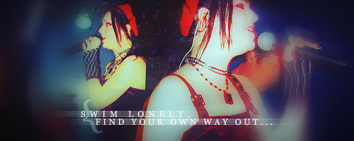 amy lee banner